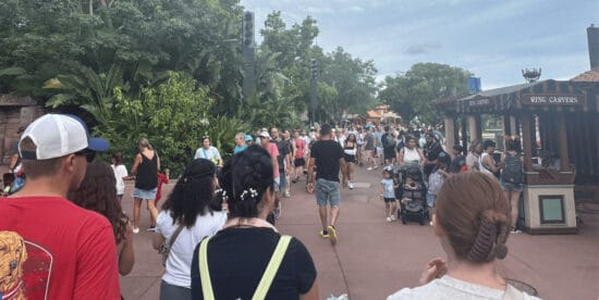epcot-crowds