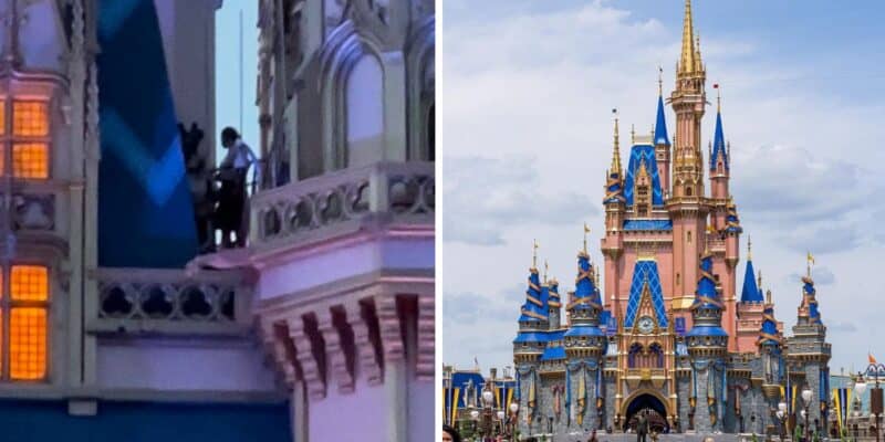 cinderella-castle-people-spotted