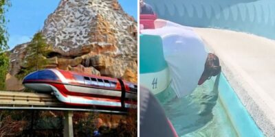 small-world-guest-steals
