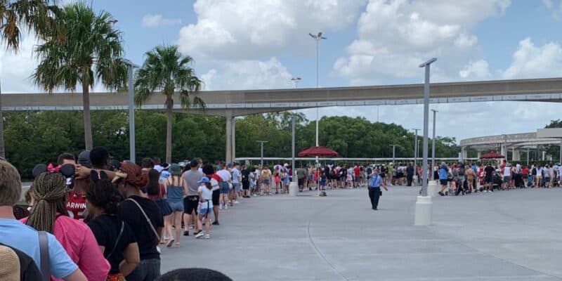 guests-at-magic-kingdom