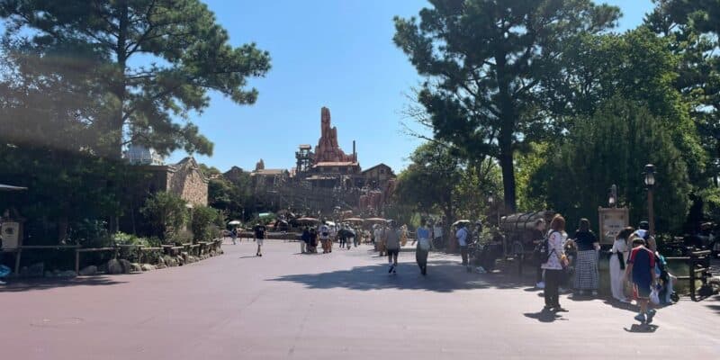 A theme park walkway with visitors strolling under a sunny sky. Tall pine trees line both sides of the path, leading to a rugged mountainous structure in the background. Various people are scattered along the otherwise empty path, some pausing to look around or take photos.