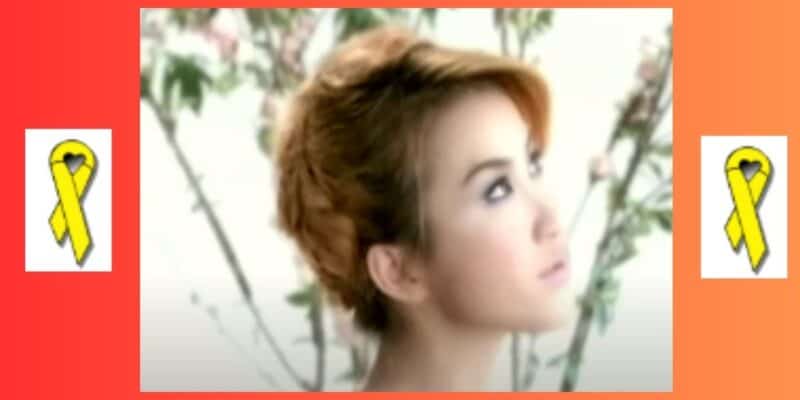 Disney 'Mulan' Singer Coco Lee