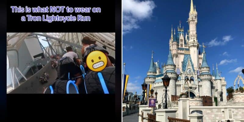 Man Shamelessly Records Woman Wearing Revealing Outfit on Disney Attraction