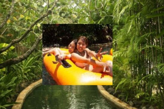 Bali park set to disrupt Disney attendance