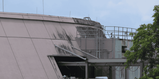 Black dirt/mold covers the back of the seas building in EPCOT at Walt Disney World. 