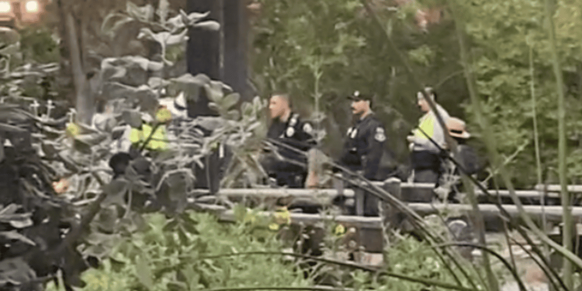 Police officers apprehending the Guest that snuck into Disneyland, as the Disney Cast Member discussed.