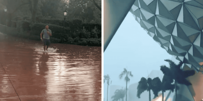 Left: A Guest wades through Walt Disney World flood water. Right: Palm trees blowing under Spaceship Earth in intense wind.