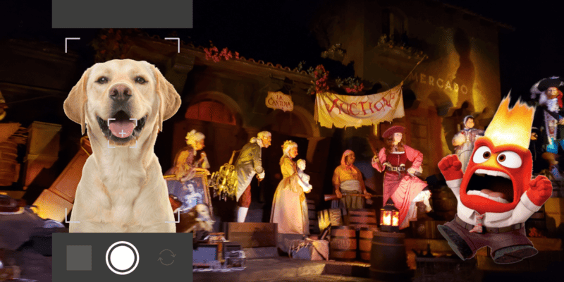 A camera takes a photo of a happy dog as 'Anger' from Pixar's 'Inside Out' looks on, enraged. This is edited to take place on Pirates of the Caribbean, a classic Disney ride.
