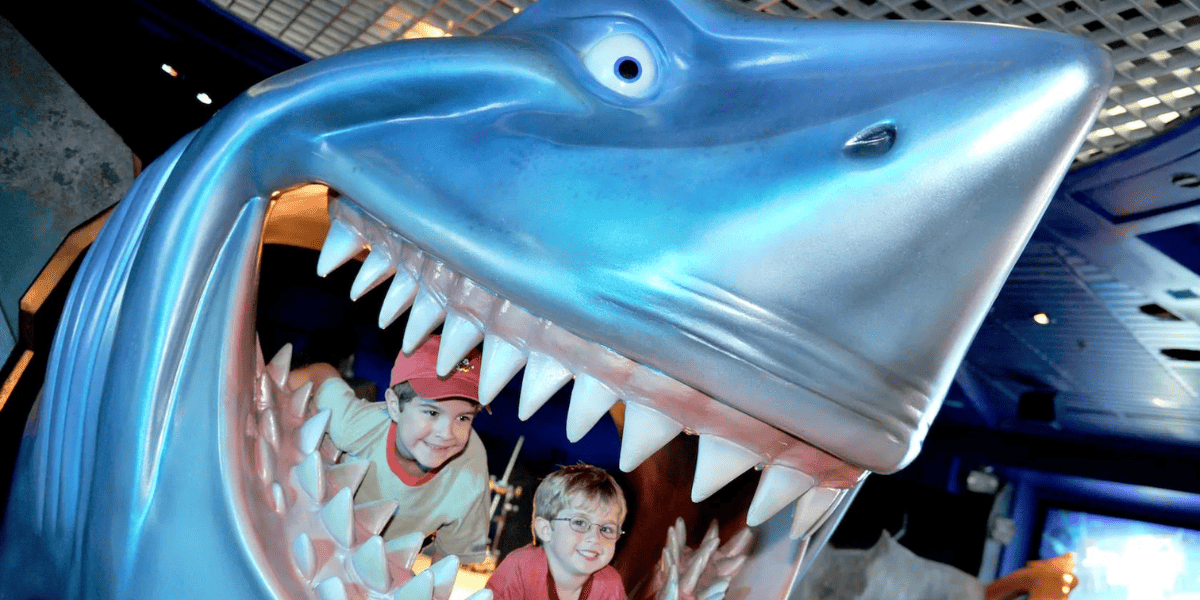 Bruce's Shark World