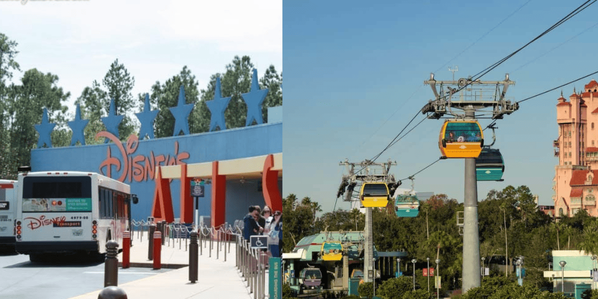 Side-by-side transportation options of shuttle buses and Skyliner