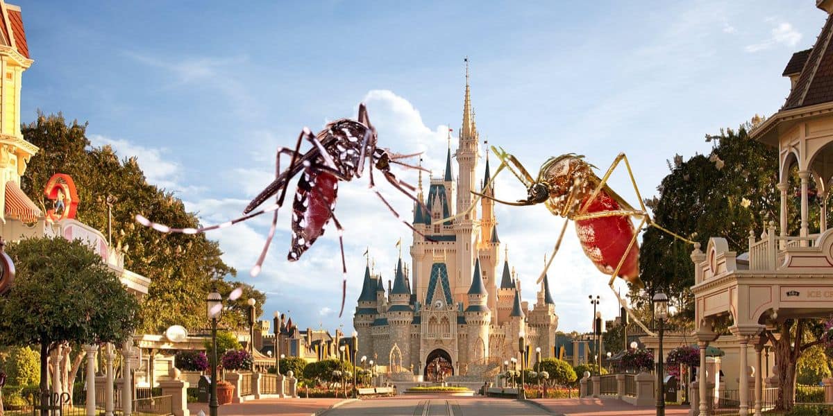 Dengue virus cases increase florida