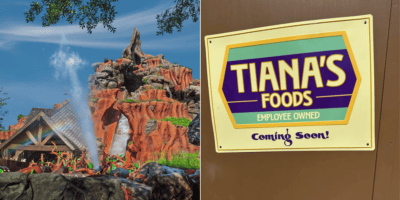 Left: The former Splash Mountain shown while it was still operating at Disneyland. Right: A construction wall around Tiana's Bayou Adventure. It features a sign reading "Tiana's Foods, Employee owned, coming soon!" referencing a restaurant on the Princess Tiana ride.