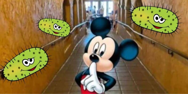 Leprosy is on the rise in Florida and near Walt Disney World