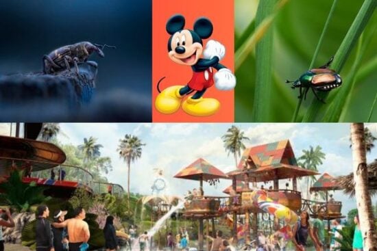 Disney pests left and right of Mickey Mouse, with a waterpark below