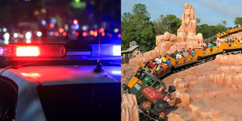 disneyland-ride-emergency-cops-involved