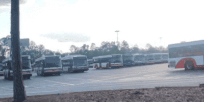 Busses lined up in a Walt Disney World parking lot at the Transportation and Ticket Center.