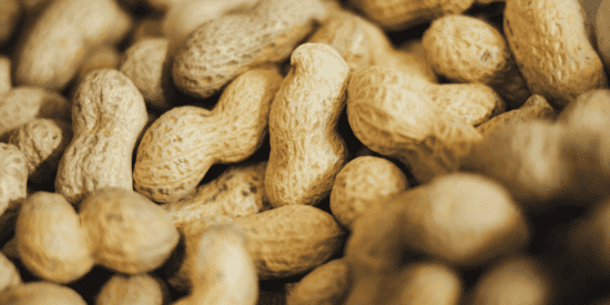 A batch of shelled peanuts