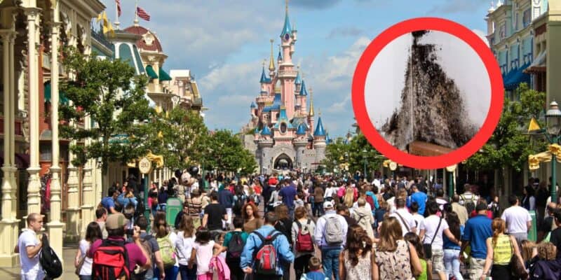 Moldy rooms found at Disneyland Paris Resort