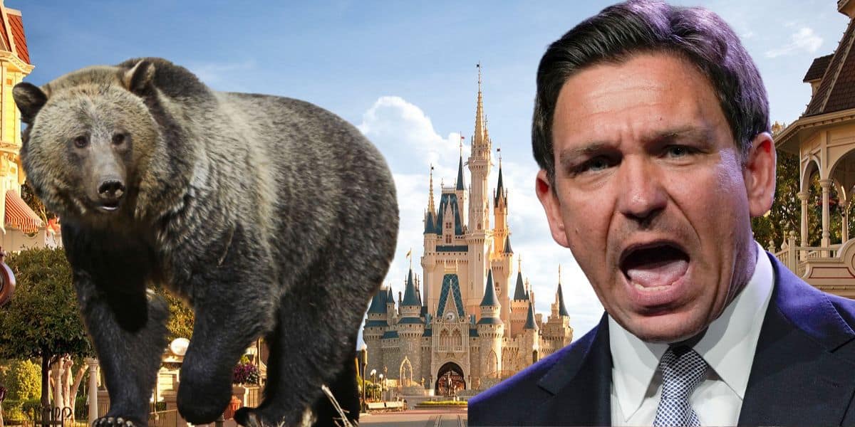 Florida Bear Attack