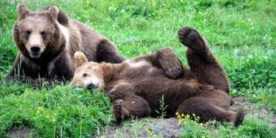 Six Flags Great Adventure Shutting Down Iconic Attraction - Inside the