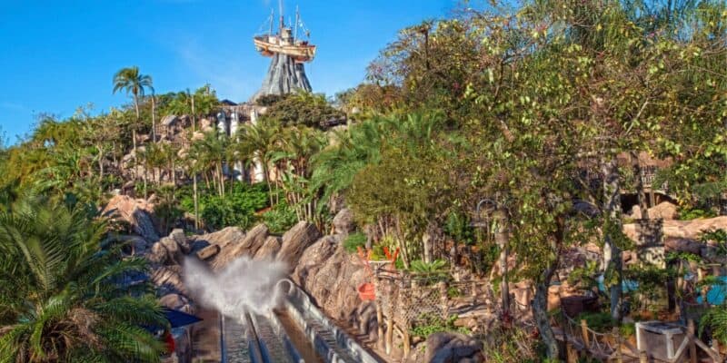 Humanga Kowabunga during the day at Typhoon Lagoon
