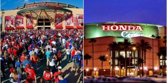 d23-angels-stadium-honda-center