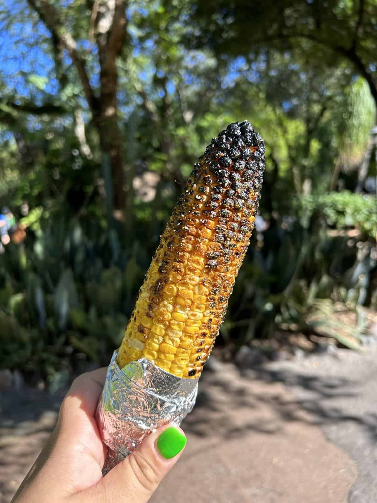 African spiced corn on the cob from Harambe Market in Disney's Animal Kingdom