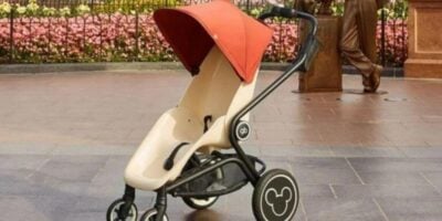 Stroller with hidden Mickey