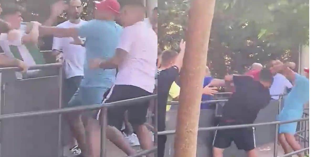violent-brawl-theme-park