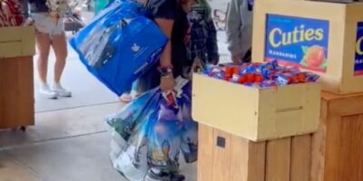 resellers-hit-disneyland
