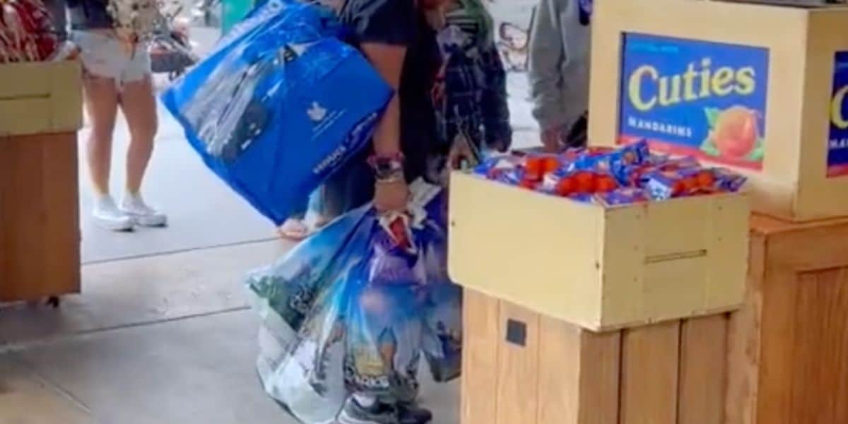 resellers-hit-disneyland