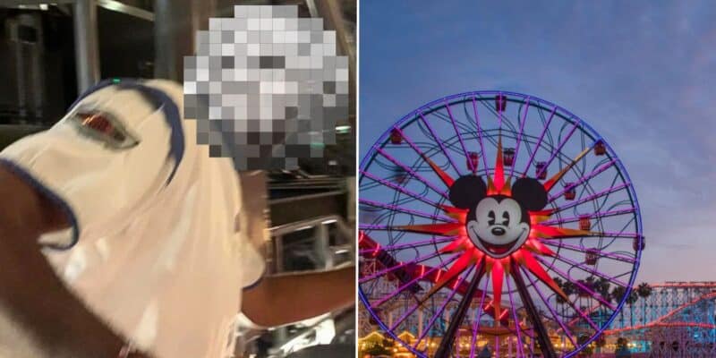 Left: a Disney cast member pushing guests on Space Mountain Right image: Disneyland Park