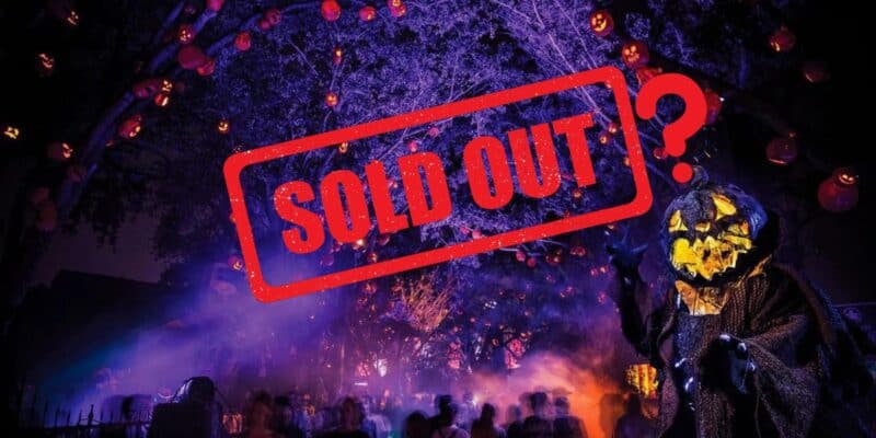 Halloween Horror Nights event fully booked: a spooky celebration under a canopy of glowing red lights hits maximum capacity!