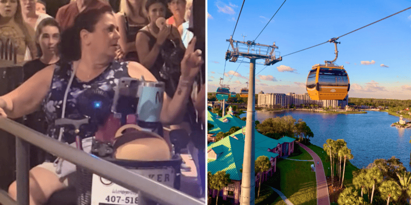 A "Disney World Karen" points her finger at other guests / The Disney Skyliner on a sunny day.