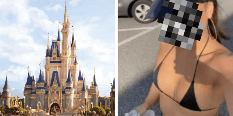 Left: Cinderella Castle during the day. Right: A guest violating the Disney Dress Code wearing a bikini top. Her face is censored.