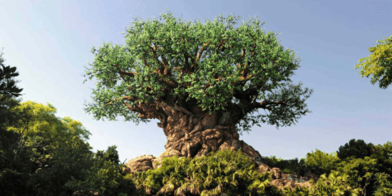 Tree of Life on Discovery Island