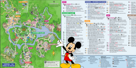The Ultimate How-To Guide to Animal Kingdom Park at Disney World ...