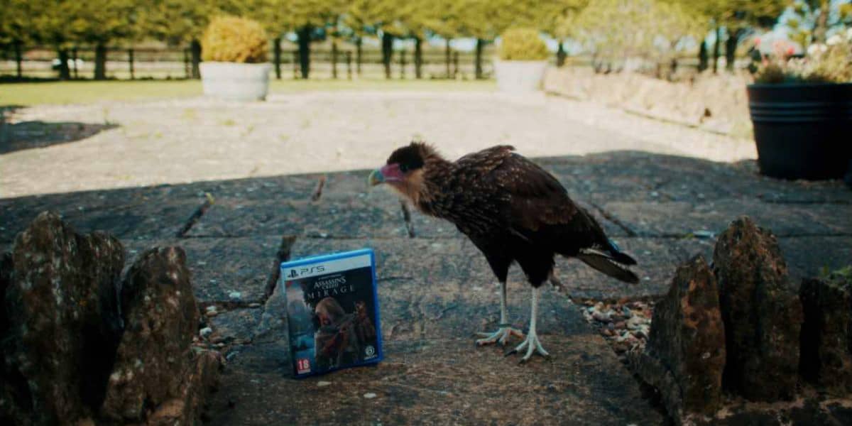New 'Assassin's Creed' Delivered Via Hawk to Unsuspecting Fans