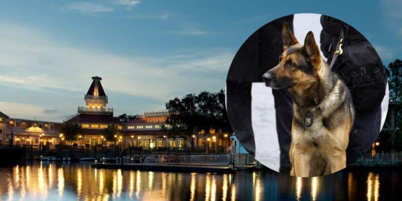 A circular photo frame with a K-9 unit with a Disney Resort in the background.