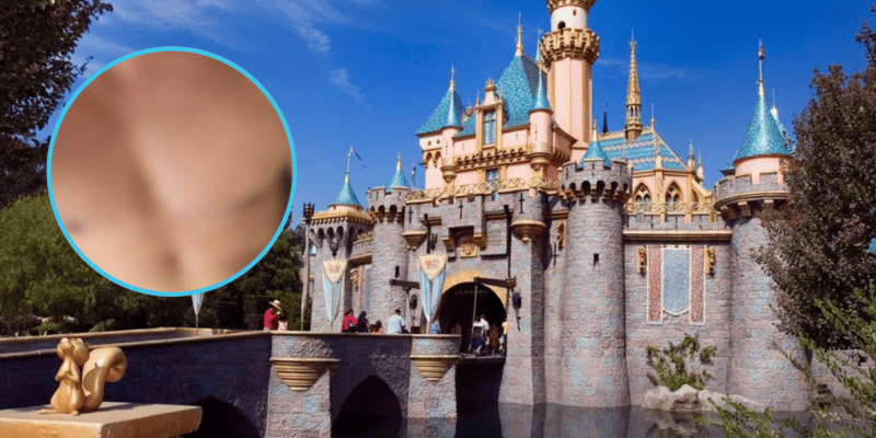 An image of a man shirtless from a Grindr screenshot seeking drugs & sex is blurred out in front of Sleeping Beauty Castle at Disneyland.
