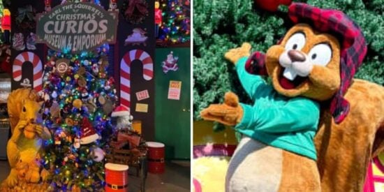 earl-the-squirrel-emporium
