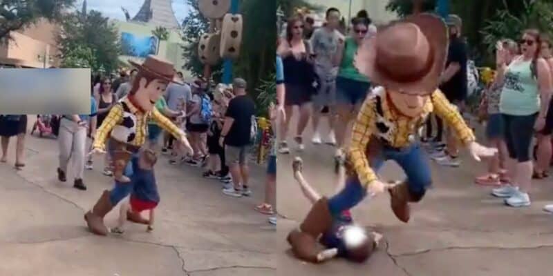 Child knocked to the ground in Disney World mascot accident.