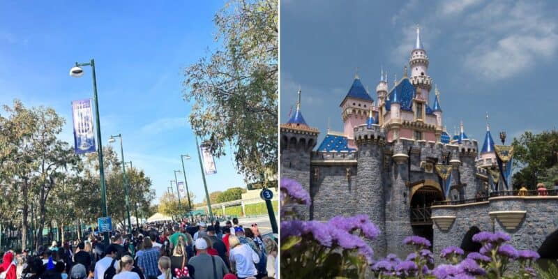 A massive crowd waiting to enter Disneyland Resort with the Sleeping Beauty Castle on the right hand side.