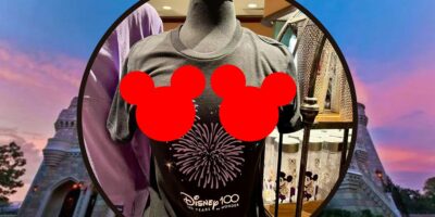 Fans freak out over suggestive shirt in Disney World.