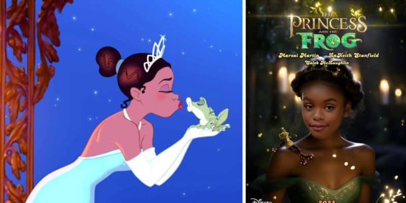 fake live action princess and the frog poster goes viral
