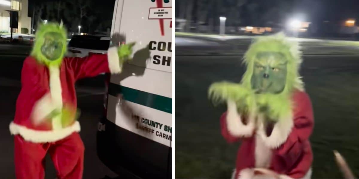 Lee County Sheriff's Office arrest woman as The Grinch