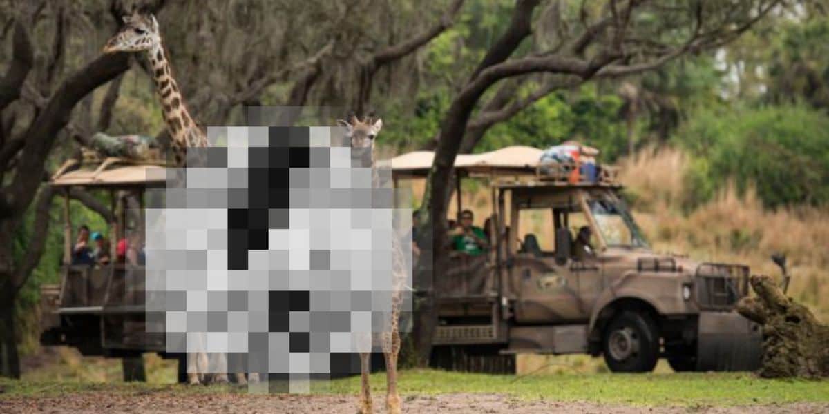 Guests watch as animals have sex on Kilimanjaro Safaris.