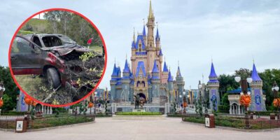 car and remains of missing mom found next to Disney World in pond