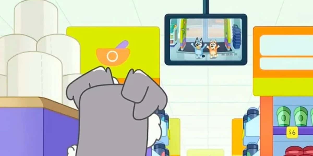 Bluey and Bingo on a CCTV