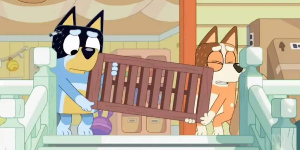Bandit and Chilli make a porch swing